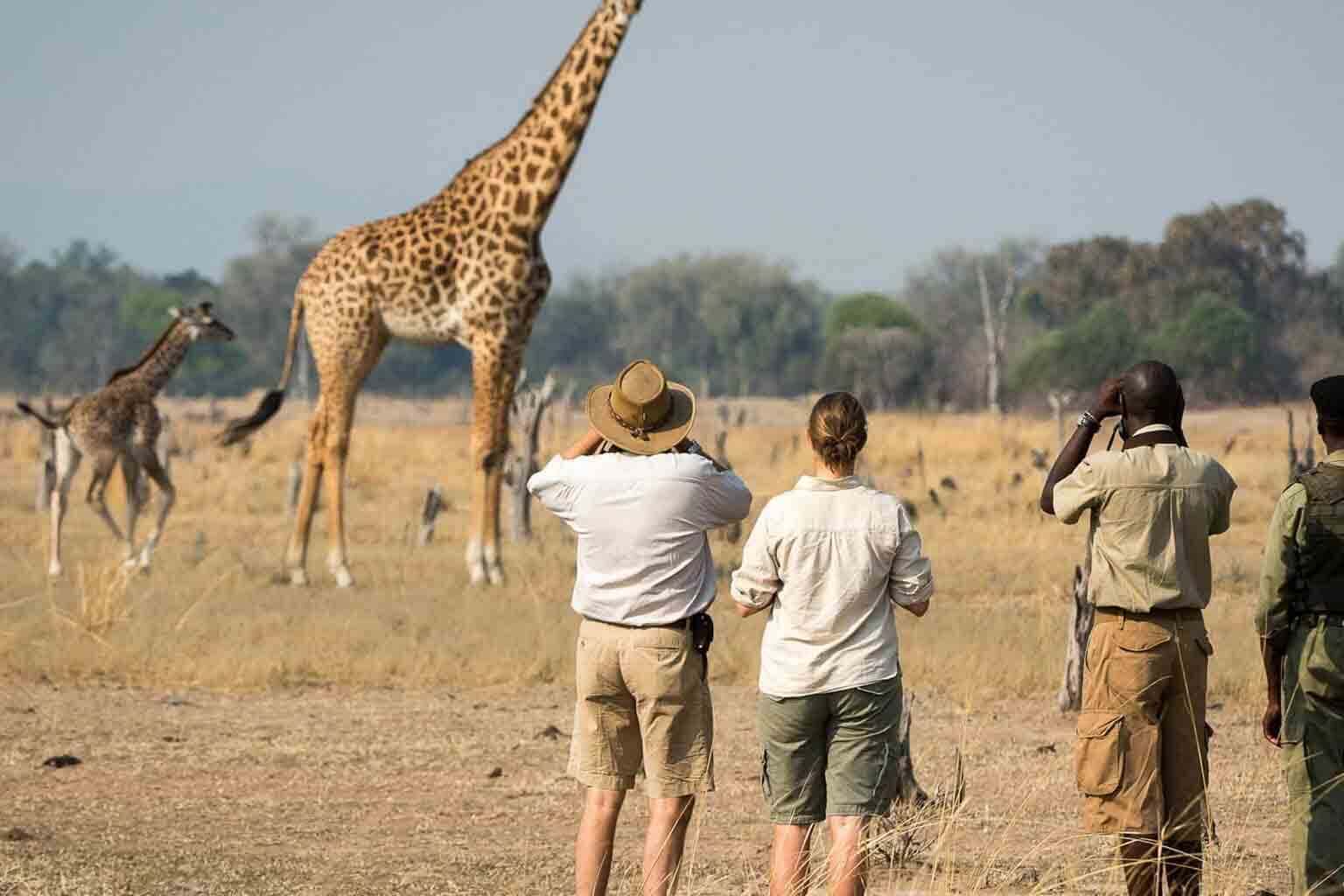 Walking safari in Arusha National Park
