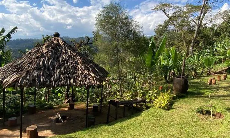 Traditional Chagga houses in Materuni Village