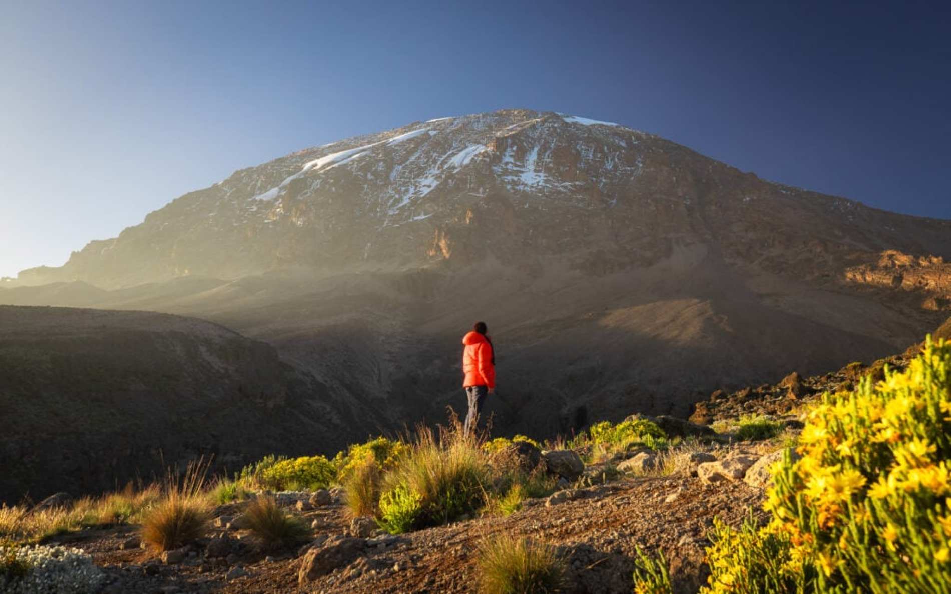 Kilimanjaro Day Hike