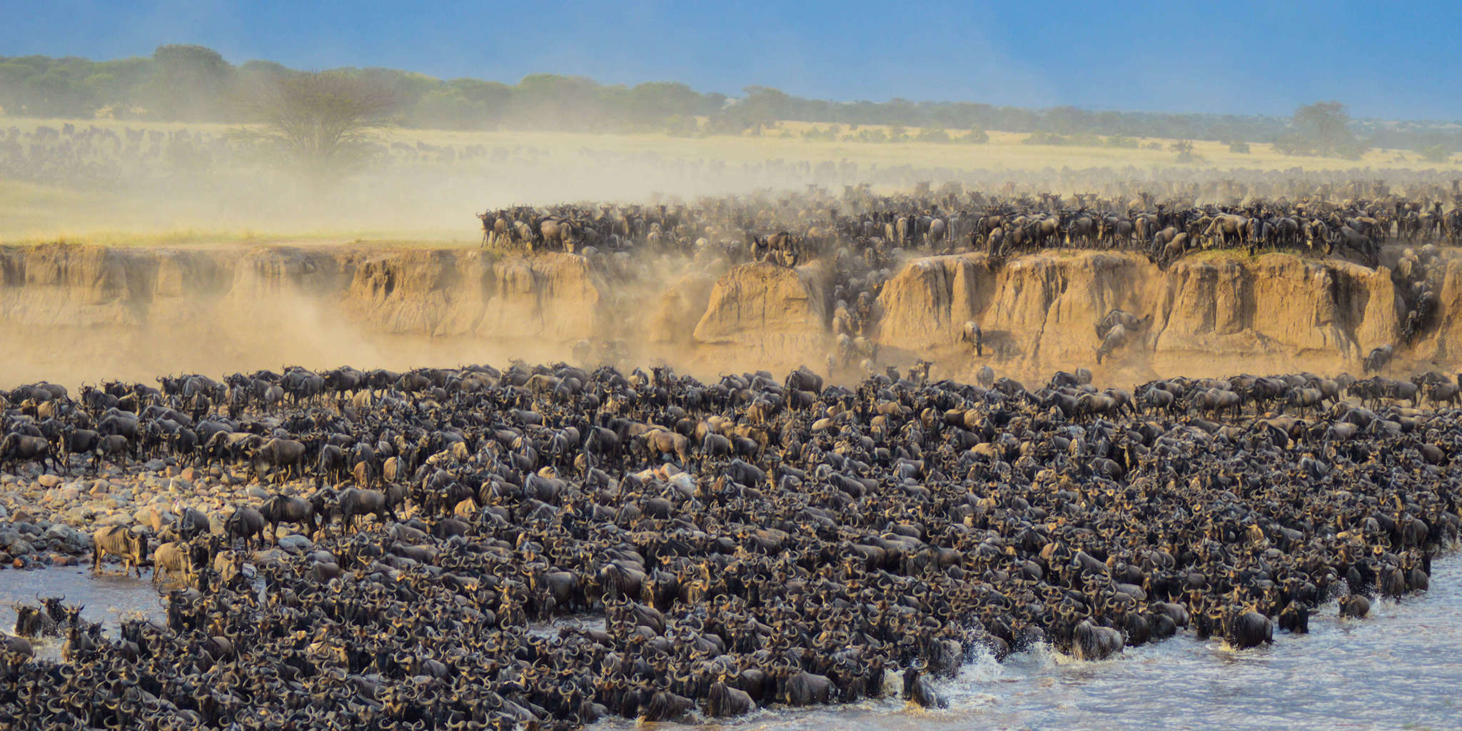 5 Days Safari