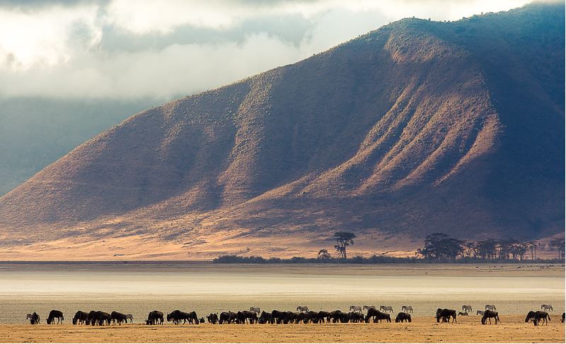 6 Days Safari
